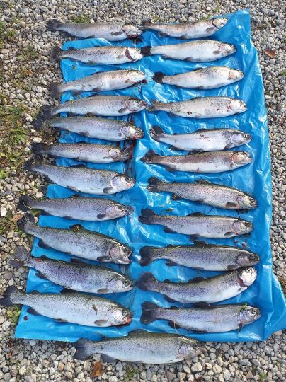 Forellenvisvijver Heioord-3