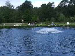 Forellenvisvijver Heioord-1