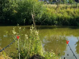 Fränkische Rezat (Lichtenau)