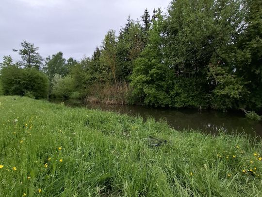Fränkische Rezat (Lichtenau)-3