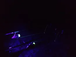 Fränkische Rezat (Lichtenau)-1