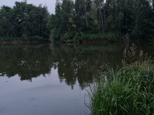 Gondelteich Hoyerswerda-4