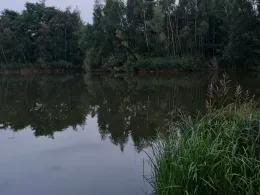 Gondelteich Hoyerswerda-4