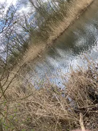 Seeweg-Pfuhl (Berlin-Schönefeld)-3