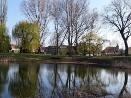 Dorfteich Kröllwitz-1