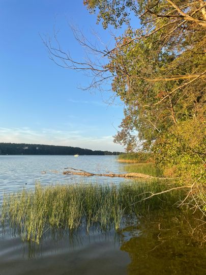 Großer Pälitzsee-2