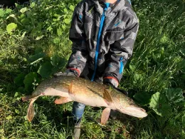 Alte Vechte (Schüttorf)