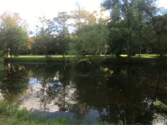 Parkteich (Bad Köstritz)-1