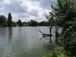 Grimnitzsee (Berlin)-0
