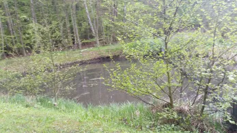 Ententeich (Kühlungsborn)