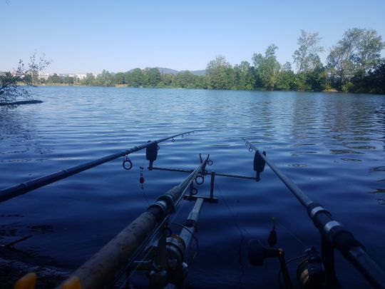 Burgerwaldsee (Offenburg)-1