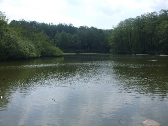 Thorsberger Moor