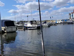 Polderveld (Wessem)-1