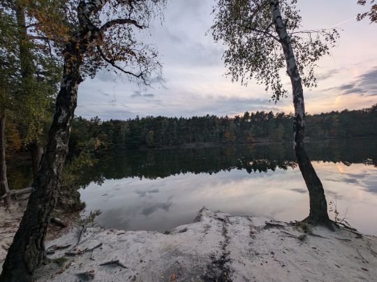 Blaues Auge (Reinharz)-4