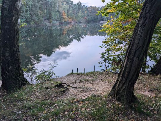 Blaues Auge (Reinharz)-3