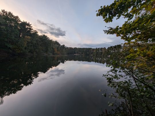 Blaues Auge (Reinharz)-1