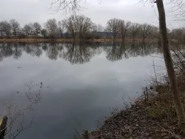 Nellewardgen (Rindern)-0