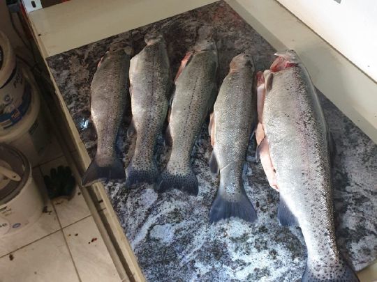 Angelpark Ober-Sorg-1