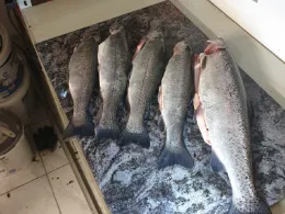 Angelpark Ober-Sorg-1