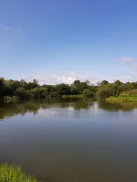 Dyringkær Put & Take-0