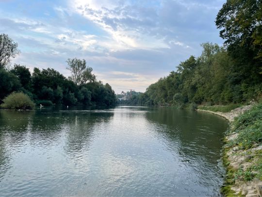 Neckar (Marbach/Benningen)-2