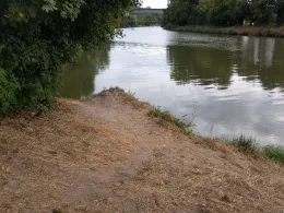 Neckar (Marbach/Benningen)-1