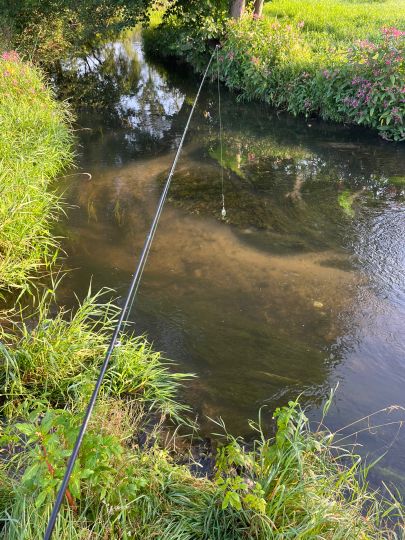 Wesenitz (Großharthau)