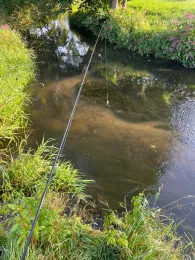 Wesenitz (Großharthau)