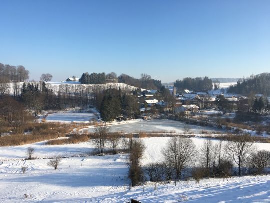 Dreiecksweiher (Unterlaus)-0