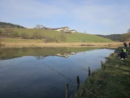 Dreiecksweiher (Unterlaus)