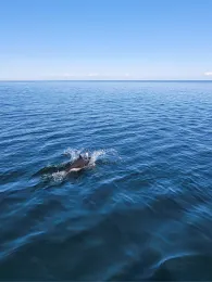 Ostsee (Kühlungsborn)