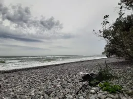 Ostsee (Kühlungsborn)-1