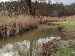 Mittlere Aurach (Herzogenaurach)