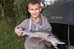 Voglerteich (Hüttengesäß)-3