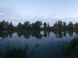 Voglerteich (Hüttengesäß)-4