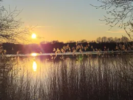 Pulvermühle (Meckelfeld)