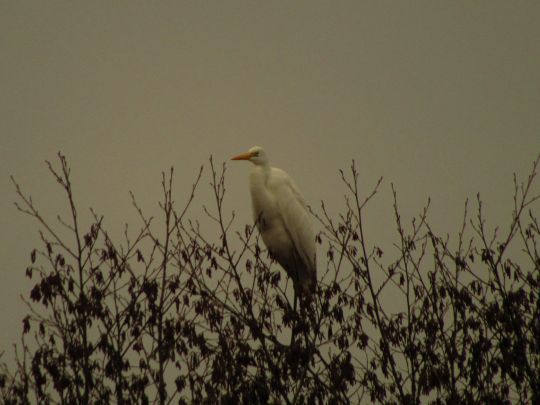 Main-Donau-Kanal (Riedenburg)-4