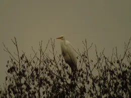 Main-Donau-Kanal (Riedenburg)-4