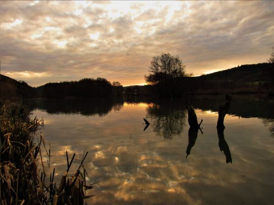 Main-Donau-Kanal (Riedenburg) angeln