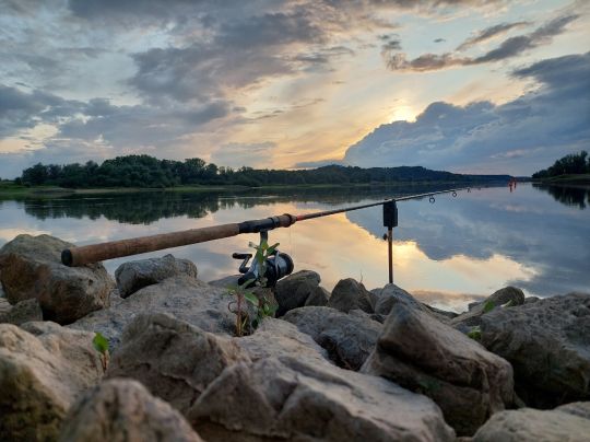 Elbe (Hitzacker/Elbe)-1