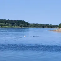 Elbe (Hitzacker/Elbe)-2