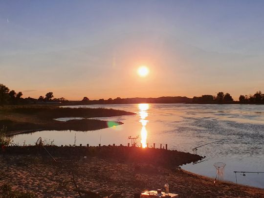 Elbe (Hitzacker/Elbe) angeln