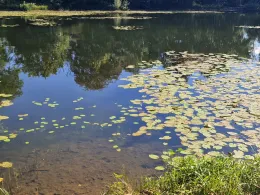 Neuer Teich (Bebertal)-2