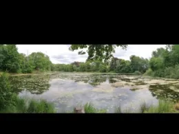 Neuer Teich (Bebertal)-3