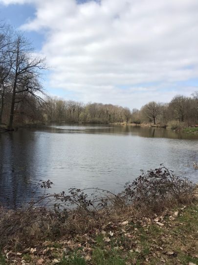 54+ Neuer Teich, Nach einem heftigen regen im jahr.