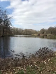 Neuer Teich (Bebertal)-4