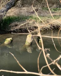 Aufseß (Hollfeld)-2