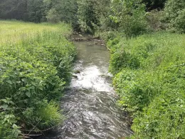 Aufseß (Hollfeld)-1