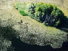 Haussee (Gerswalde)-1