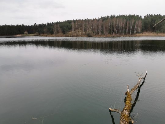 Großer Birkensee (Röthenbach)